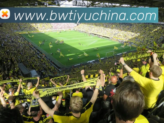 必威Betway平台生态图